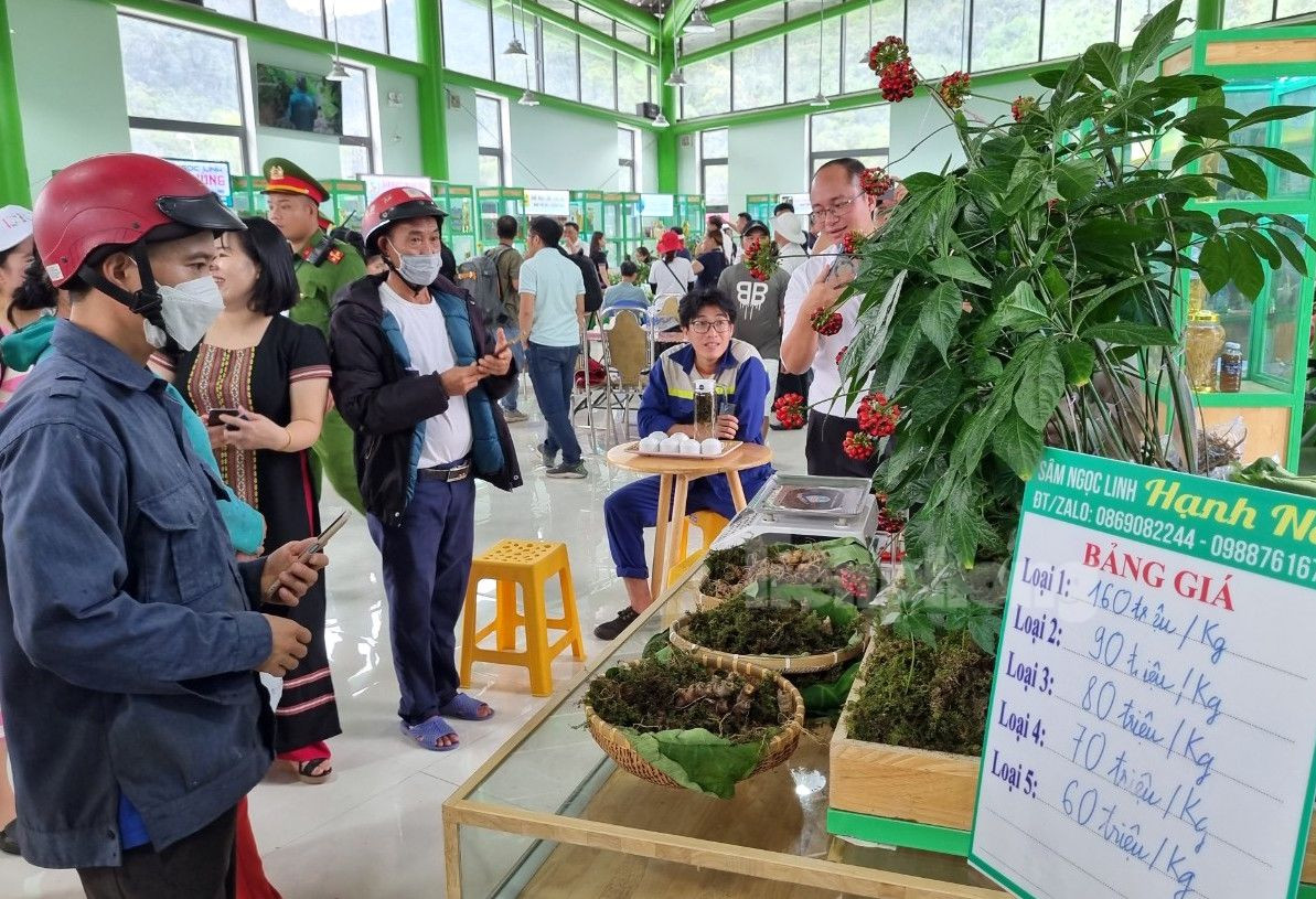 Bảng giá sâm được niêm yết tại phiên chợ. Bảng giá sâm được niêm yết tại phiên chợ.