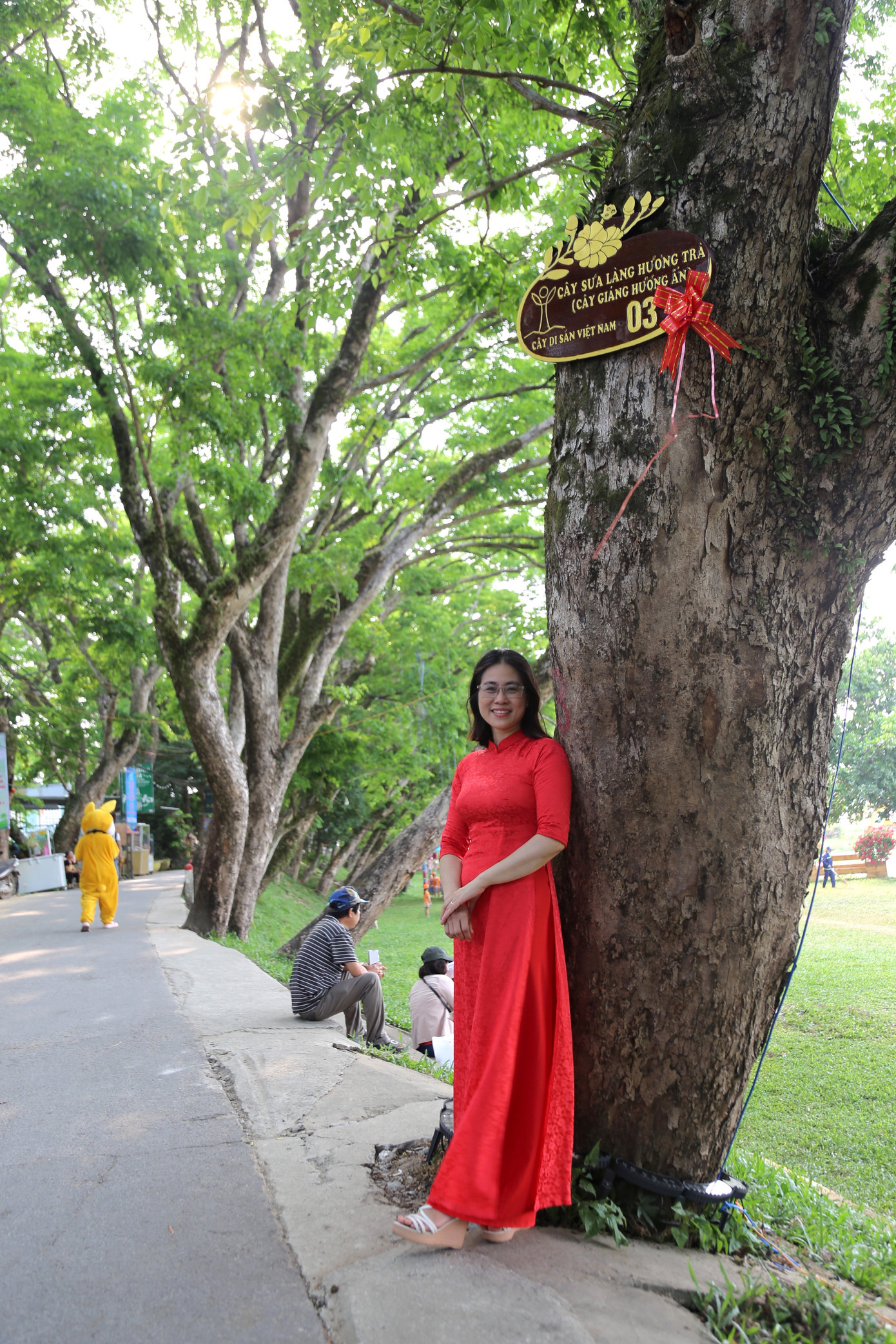 Những gốc cổ thụ này có tuổi đời hàng trăm năm Những gốc cổ thụ này có tuổi đời hàng trăm năm