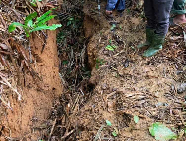 Vết nứt có chiều sâu từ 1,5m đến 5m, chiều dài khoảng 120m. Nhiều đoạn có dấu hiệu sụt trượt. Vết nứt có chiều sâu từ 1,5m đến 5m, chiều dài khoảng 120m. Nhiều đoạn có dấu hiệu sụt trượt.