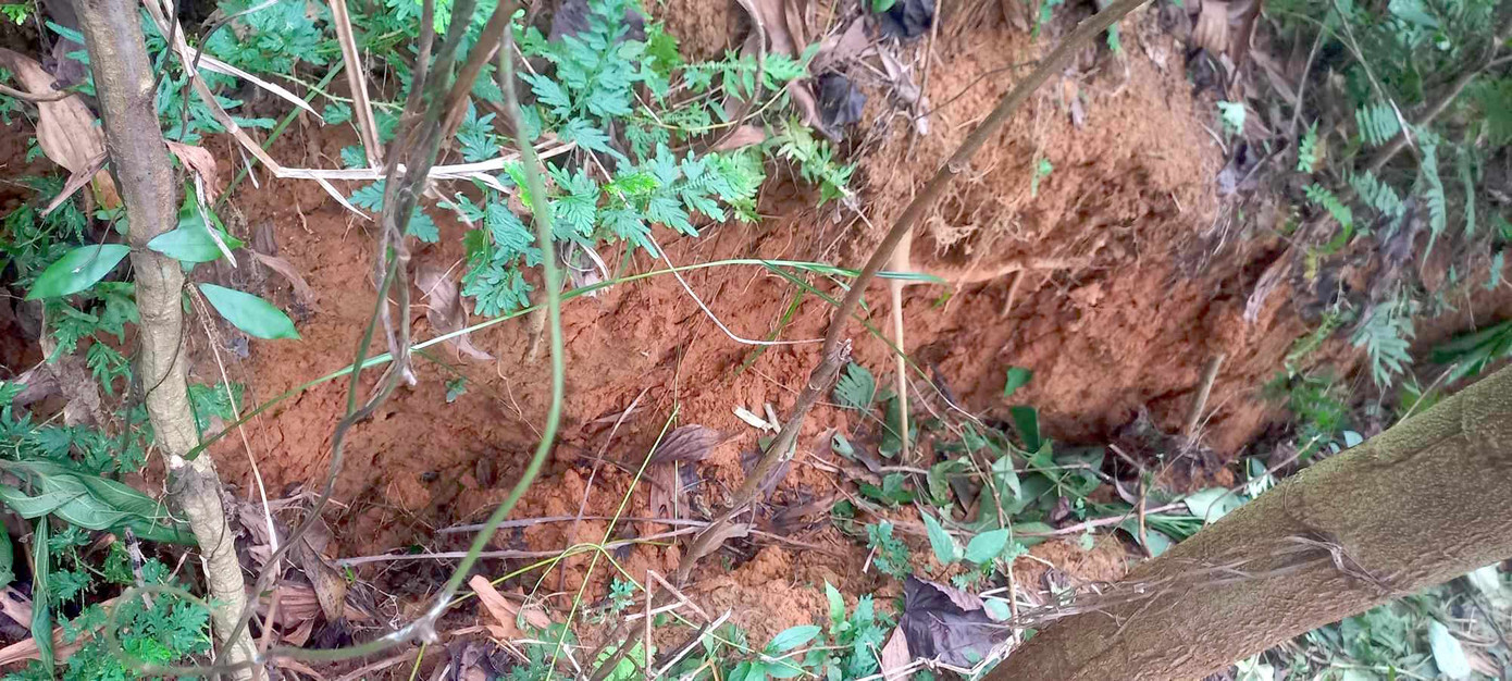 Vết nứt có chiều sâu từ 1,5m đến 5m, chiều dài khoảng 120m. Nhiều đoạn có dấu hiệu sụt trượt. Vết nứt có chiều sâu từ 1,5m đến 5m, chiều dài khoảng 120m. Nhiều đoạn có dấu hiệu sụt trượt.