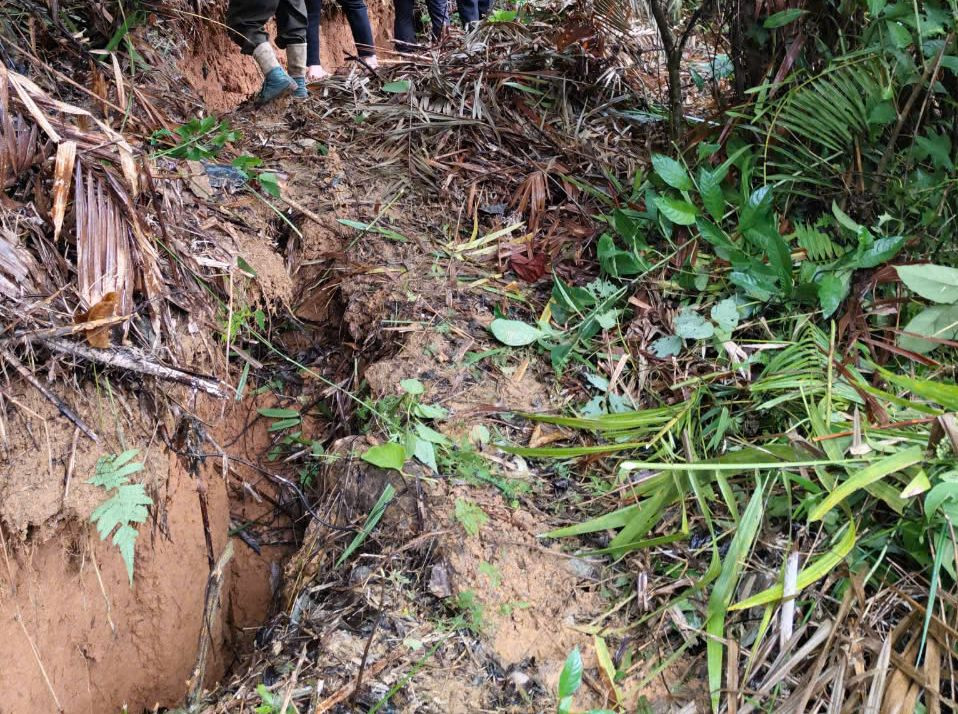 Vết nứt có chiều sâu từ 1,5m đến 5m, chiều dài khoảng 120m. Nhiều đoạn có dấu hiệu sụt trượt. Vết nứt có chiều sâu từ 1,5m đến 5m, chiều dài khoảng 120m. Nhiều đoạn có dấu hiệu sụt trượt.