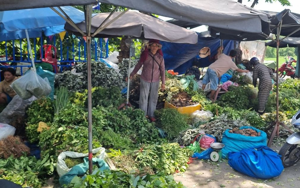 Mỗi bó lá có giá từ 10 – 20.000 đồng tùy loại. Theo người dân, các loại lá đều là vị thuốc nam chữa được nhiều bệnh như giải cảm, đau bụng, mát gan, trị ngứa, rôm sẩy,… Đặc biệt, các loại lá này phát huy tác dụng khi được pha uống đúng giờ ngọ (12 giờ trưa) ngày Tết Đoan Ngọ.