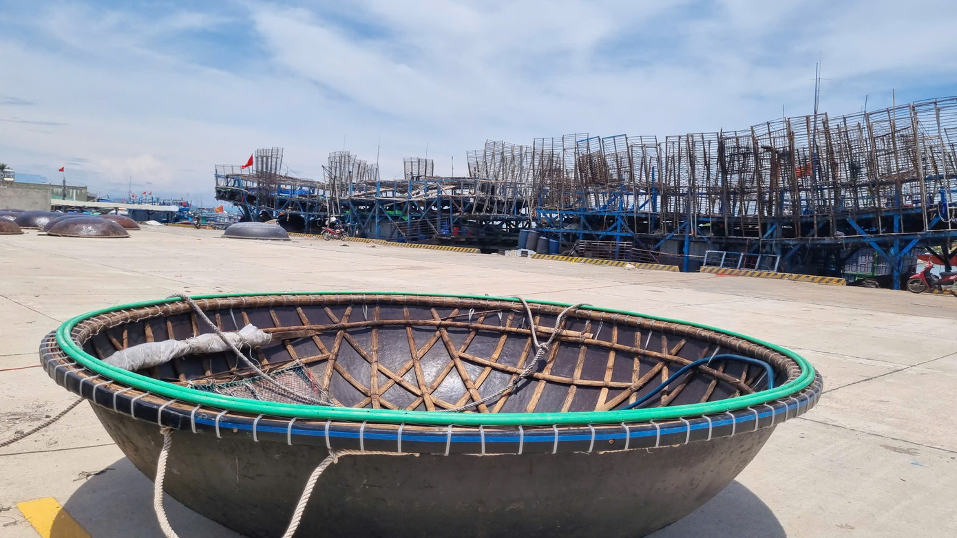 Nghề câu mực là nghề truyền thống của ngư dân Tam Quang, Núi Thành, Quảng Nam. Nghề câu mực là nghề truyền thống của ngư dân Tam Quang, Núi Thành, Quảng Nam.