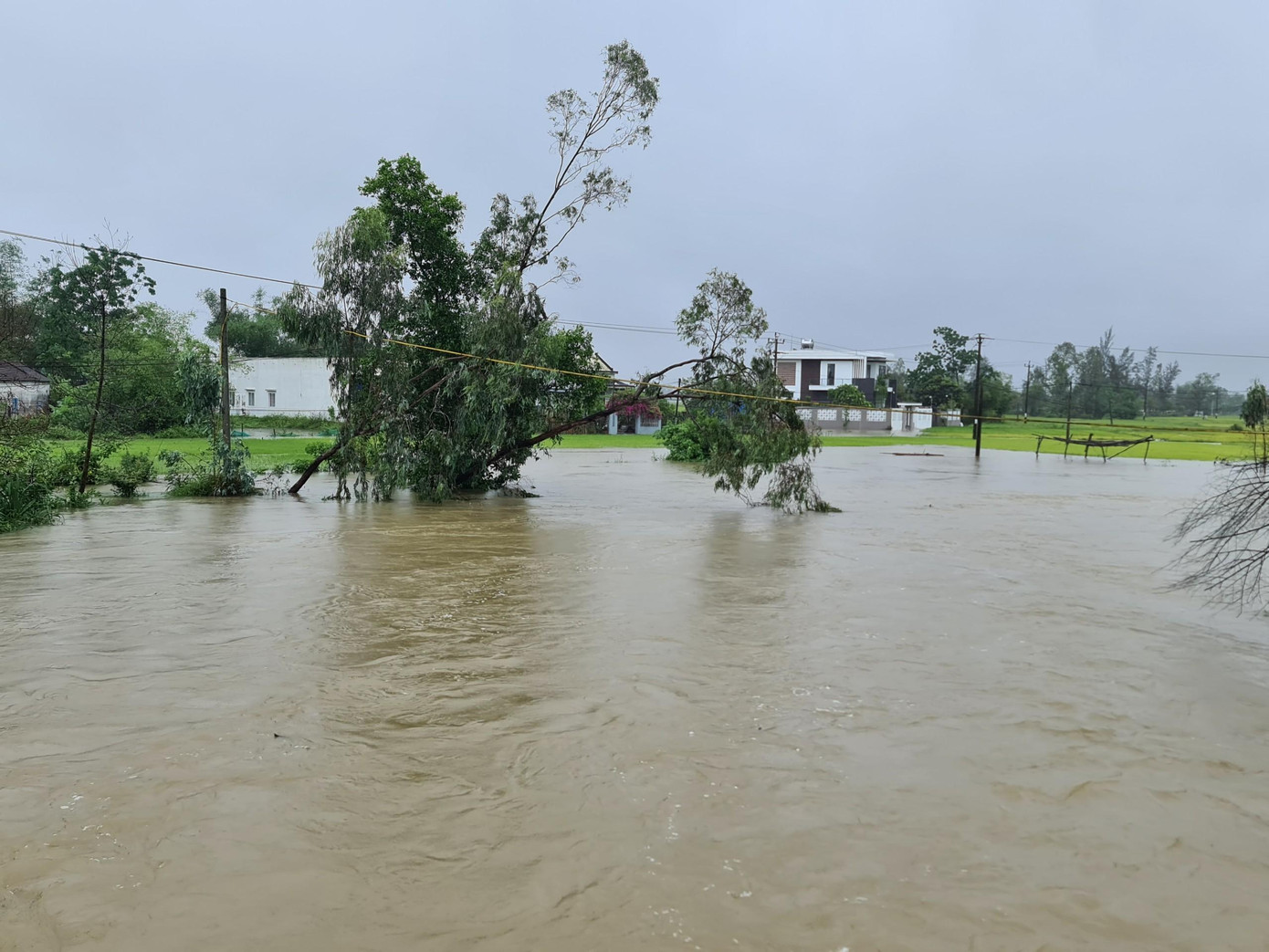Quảng Nam đang mưa lớn trái vụ khiến người dân lo ngại. Quảng Nam đang mưa lớn trái vụ khiến người dân lo ngại.