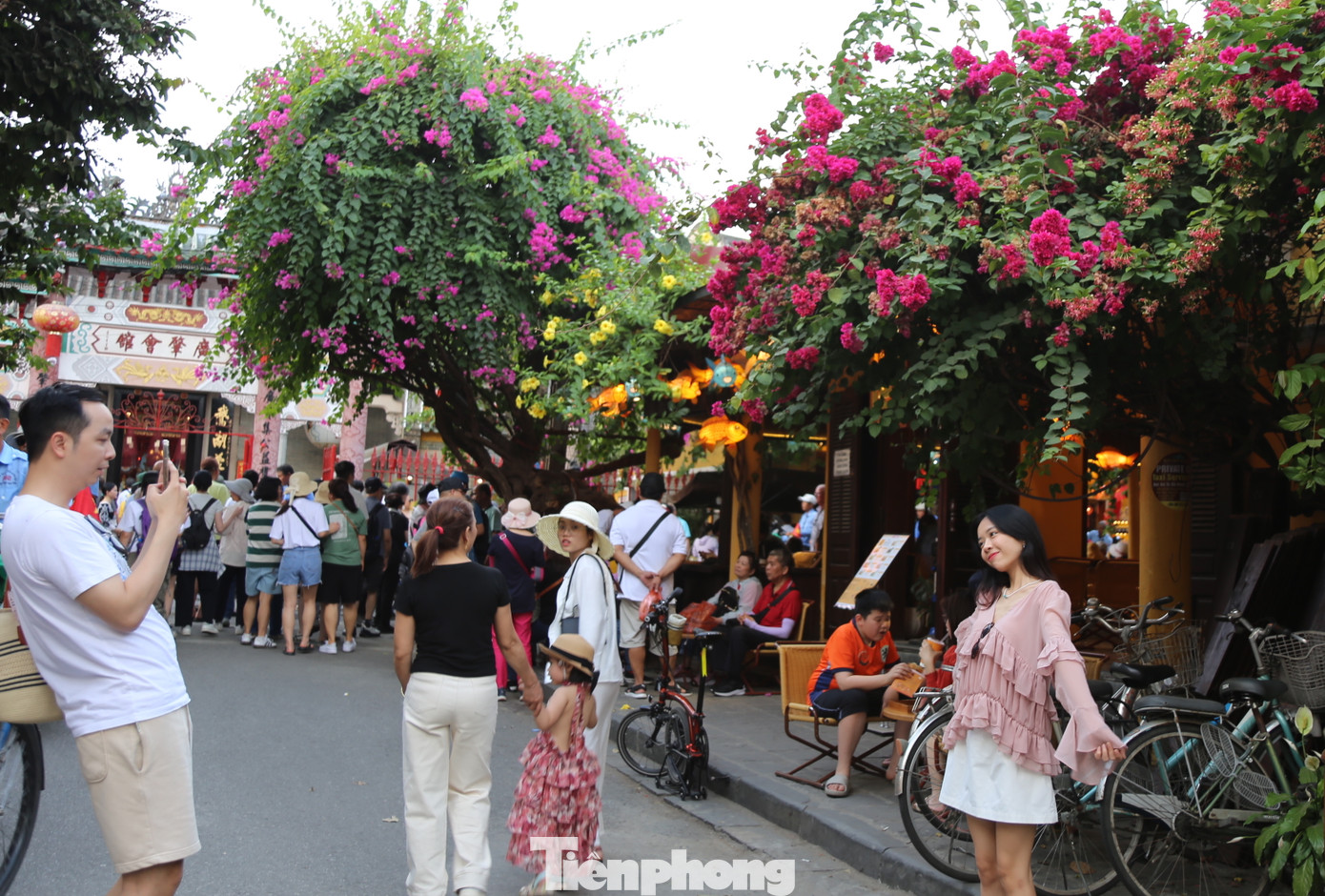 Bạn trẻ thích thú check in bên những giàn hoa giấy trên tuyến phố cổ Hội An. Ảnh: Hoài Văn Bạn trẻ thích thú check in bên những giàn hoa giấy trên tuyến phố cổ Hội An. Ảnh: Hoài Văn