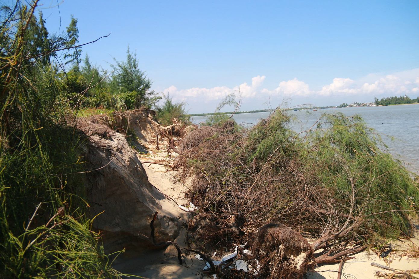 Sạt lở khiến nhiều nhà dân bị hư hại, cây cối đổ ngã. Một số hộ bám trụ vì không thống nhất được phương án di dời. Nếu đi nơi ở mới chỉ với 100m2 đất và 20 triệu đồng thì không thể xây nhà. Sạt lở khiến nhiều nhà dân bị hư hại, cây cối đổ ngã. Một số hộ bám trụ vì không thống nhất được phương án di dời. Nếu đi nơi ở mới chỉ với 100m2 đất và 20 triệu đồng thì không thể xây nhà.