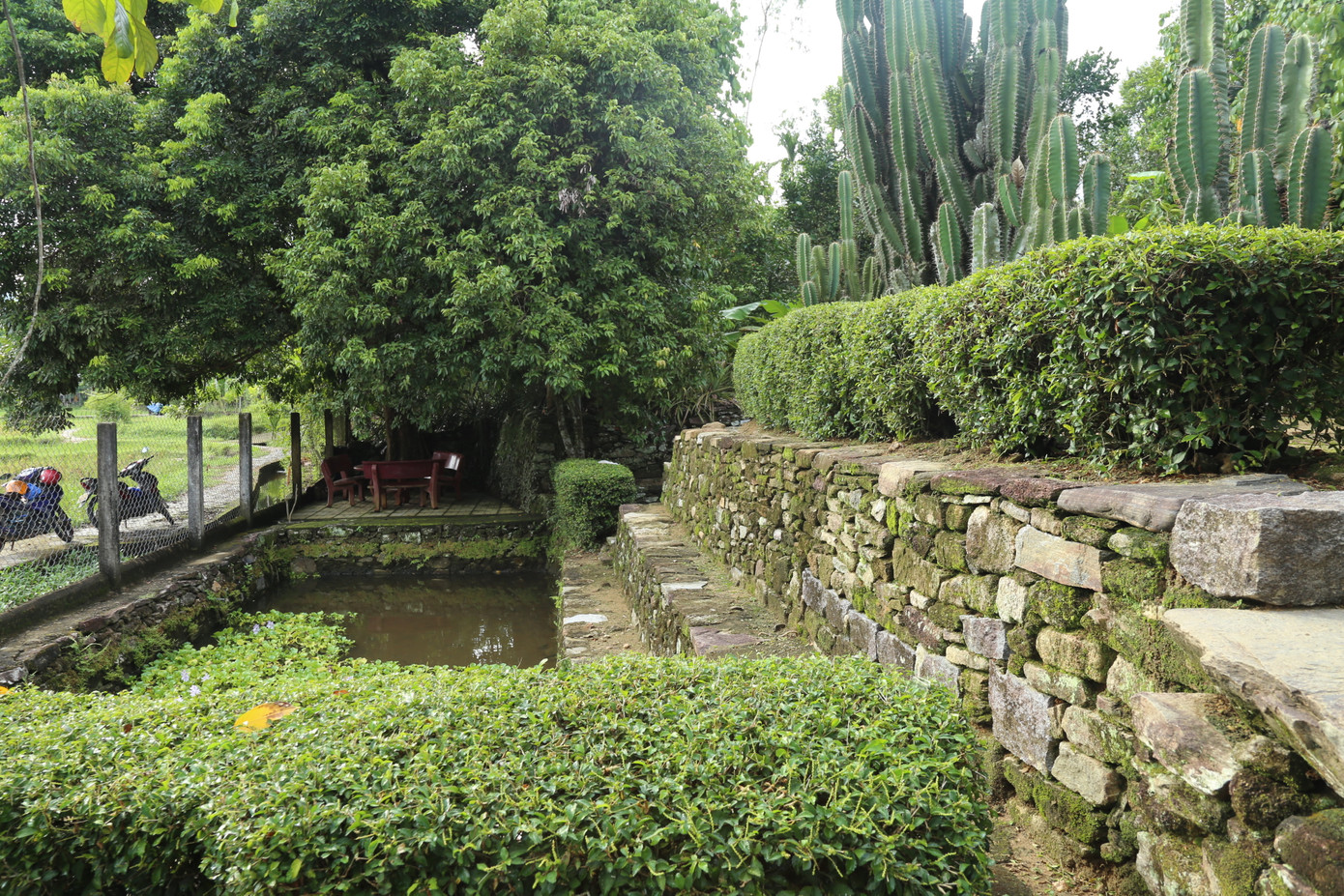 Khuôn viên xanh mát.