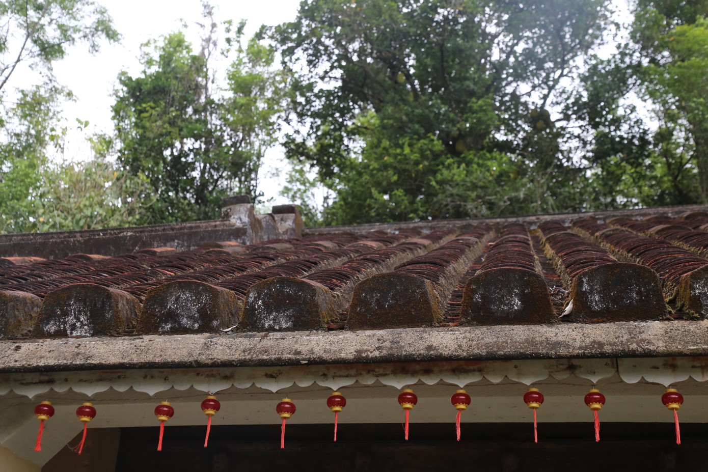 Ngôi nhà còn giữ nguyên nét xưa cổ.