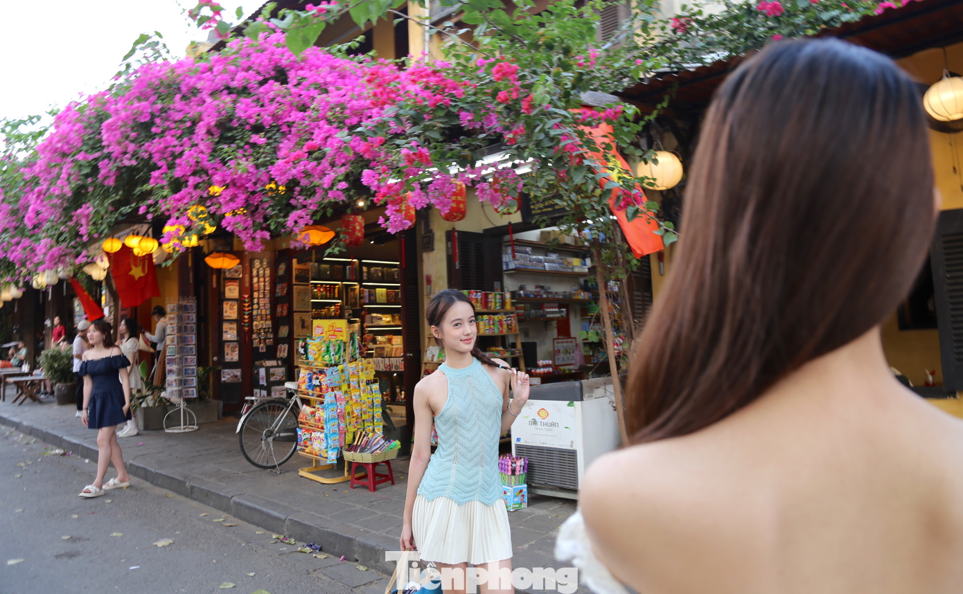 Hoa giấy trở thành "đặc sản" của Hội An vào mùa hè. Ảnh: Hoài Văn Hoa giấy trở thành "đặc sản" của Hội An vào mùa hè. Ảnh: Hoài Văn