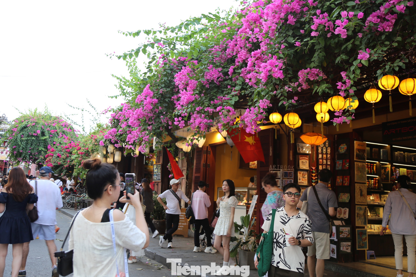 Bạn trẻ thích thú check in bên những giàn hoa giấy trên tuyến phố cổ Hội An. Ảnh: Hoài Văn Bạn trẻ thích thú check in bên những giàn hoa giấy trên tuyến phố cổ Hội An. Ảnh: Hoài Văn