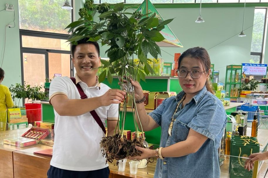 `Cây sâm khủng 9 nhánh 9 hoa tuổi được rao bán giá 868 triệu đồng.