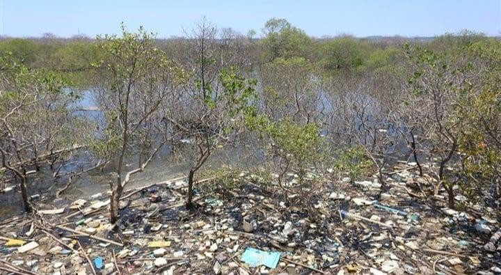 Nhiều đoạn rác bủa vây.