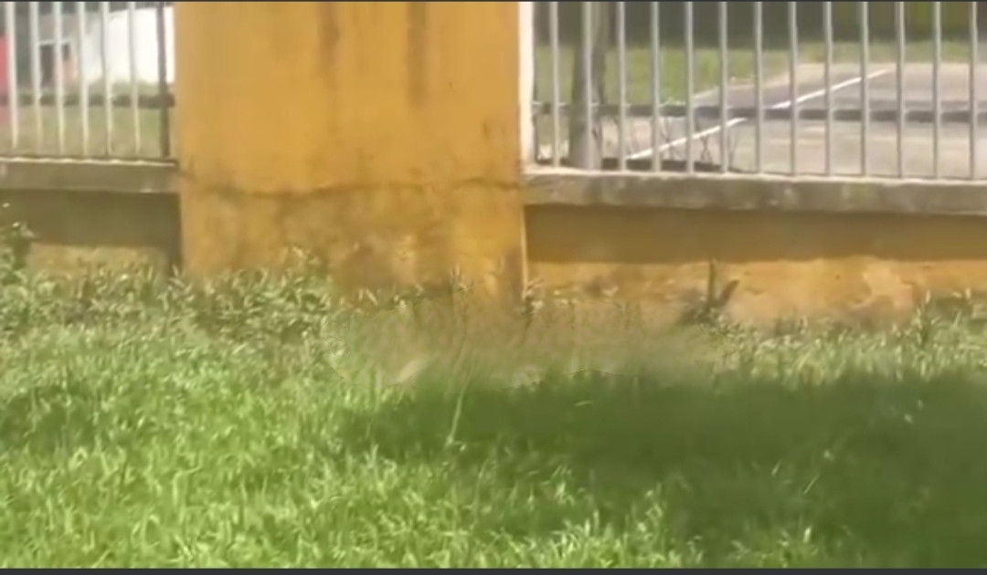 Hiện trường nơi phát hiện thi thể. Ảnh FB Hiện trường nơi phát hiện thi thể. Ảnh FB