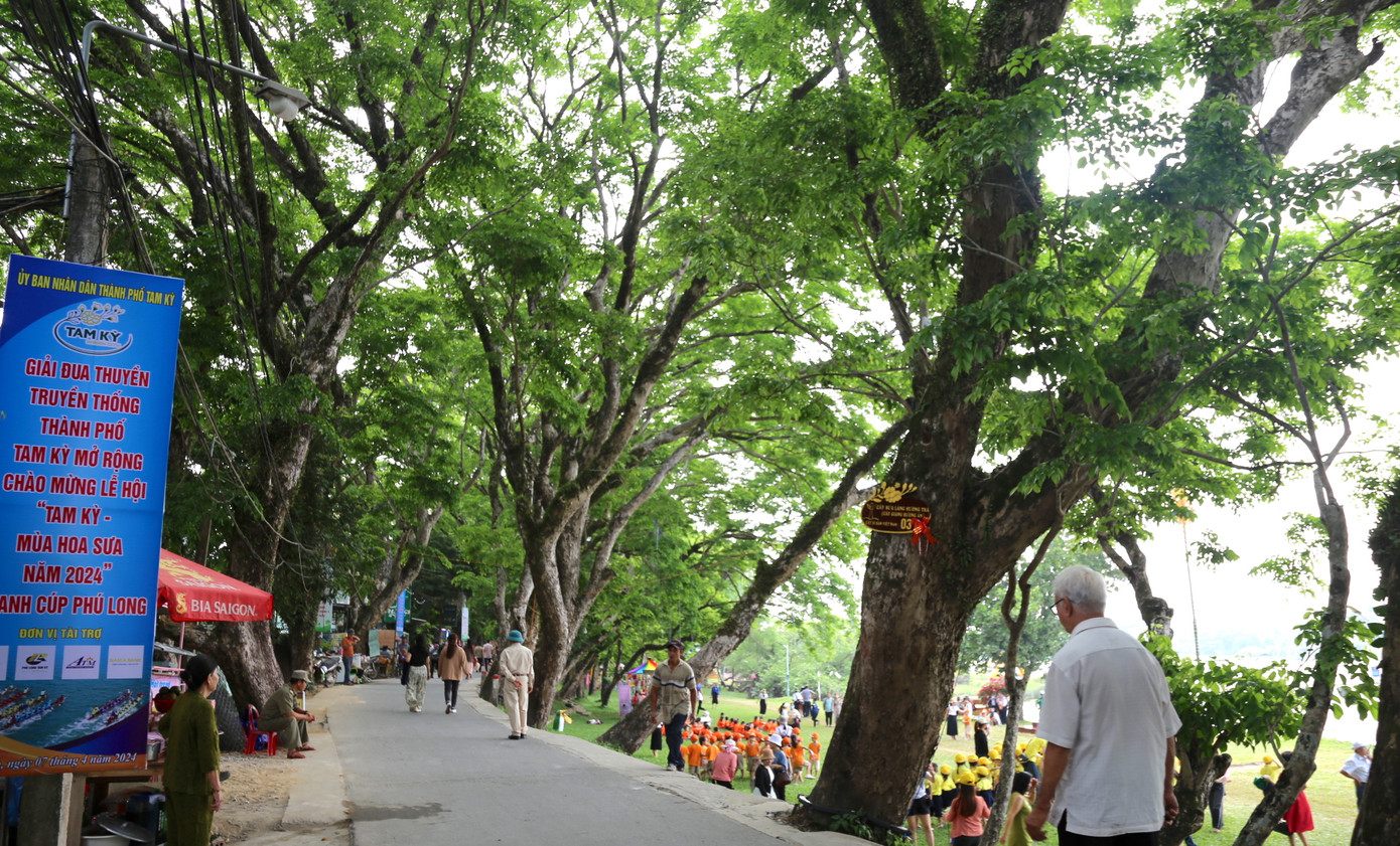 Các thế hệ người dân làng Hương Trà đã trồng, gìn giữ và phát triển quần thể cây sưa. Các thế hệ người dân làng Hương Trà đã trồng, gìn giữ và phát triển quần thể cây sưa.