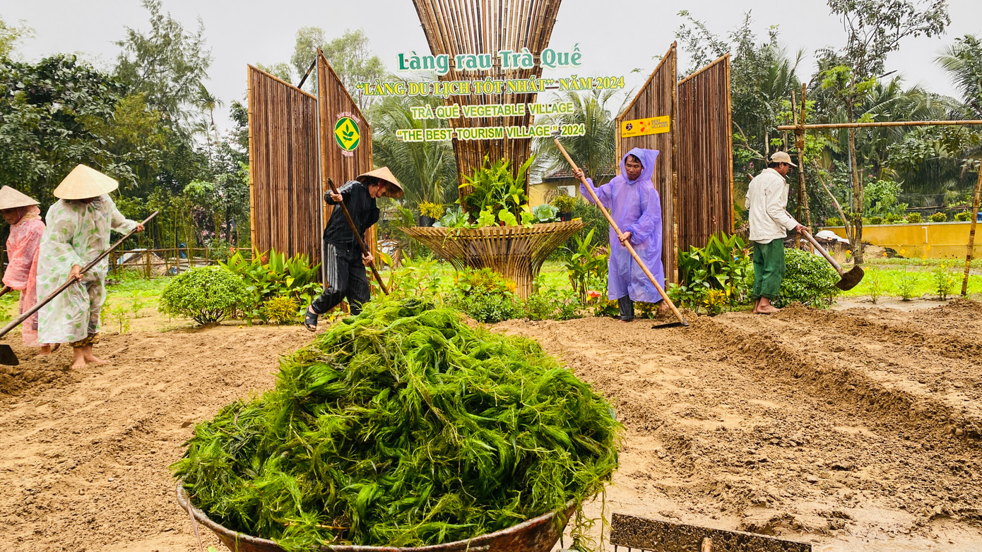 Năm nay, lễ hội Cầu Bông diễn ra trong hai ngày 3 và 4/2 (nhằm ngày mùng 6 và 7 tháng Giêng âm lịch) với các nghi thức tế lễ truyền thống, nhiều hoạt động tôn vinh nghề trồng rau Trà Quế.
