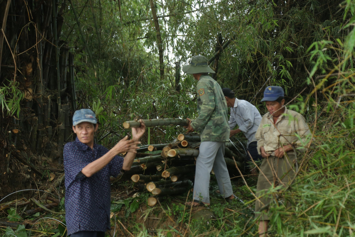 Sạt lở nghiêm trọng bờ sông Vu Gia do mưa lớn, dân chung tay cùng lực lượng chức năng gia cố. Chủ tịch UBND xã Đại Cường (huyện Đại Lộc, Quảng Nam) Phan Phước Mơ, cho biết, mưa lớn kéo dài hai ngày qua khiến nước thượng nguồn đổ về, nhiều điểm trên bờ sông Vu Gia qua địa bàn bị sạt lở nghiêm trọng, đe dọa đến hơn 200 hộ dân. Sạt lở nghiêm trọng bờ sông Vu Gia do mưa lớn, dân chung tay cùng lực lượng chức năng gia cố. Chủ tịch UBND xã Đại Cường (huyện Đại Lộc, Quảng Nam) Phan Phước Mơ, cho biết, mưa lớn kéo dài hai ngày qua khiến nước thượng nguồn đổ về, nhiều điểm trên bờ sông Vu Gia qua địa bàn bị sạt lở nghiêm trọng, đe dọa đến hơn 200 hộ dân.