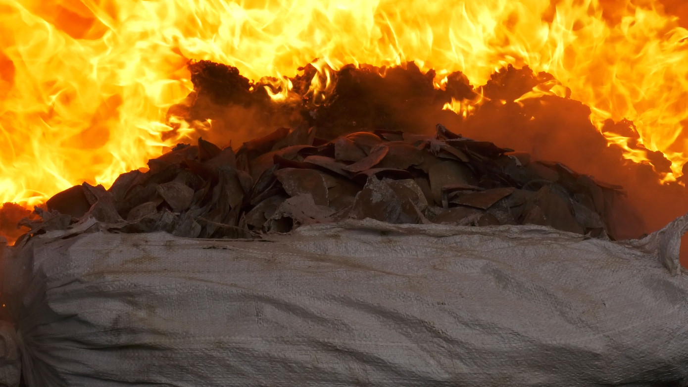 Lực lượng chức năng tiêu hủy gần 10 tấn tang vật động vật hoang dã nhập lậu từ châu Phi tổng giá trị ước tính lên đến 300 tỷ đồng. Ảnh: ENV. Lực lượng chức năng tiêu hủy gần 10 tấn tang vật động vật hoang dã nhập lậu từ châu Phi tổng giá trị ước tính lên đến 300 tỷ đồng. Ảnh: ENV.