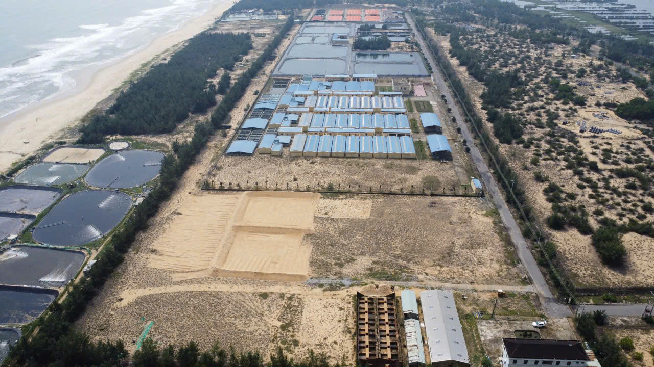 Dự án Hạ tầng khu sản xuất và Kiểm định giống thủy sản hơn 39 tỷ đồng ở Quảng Nam bỏ hoang gây lãng phí.