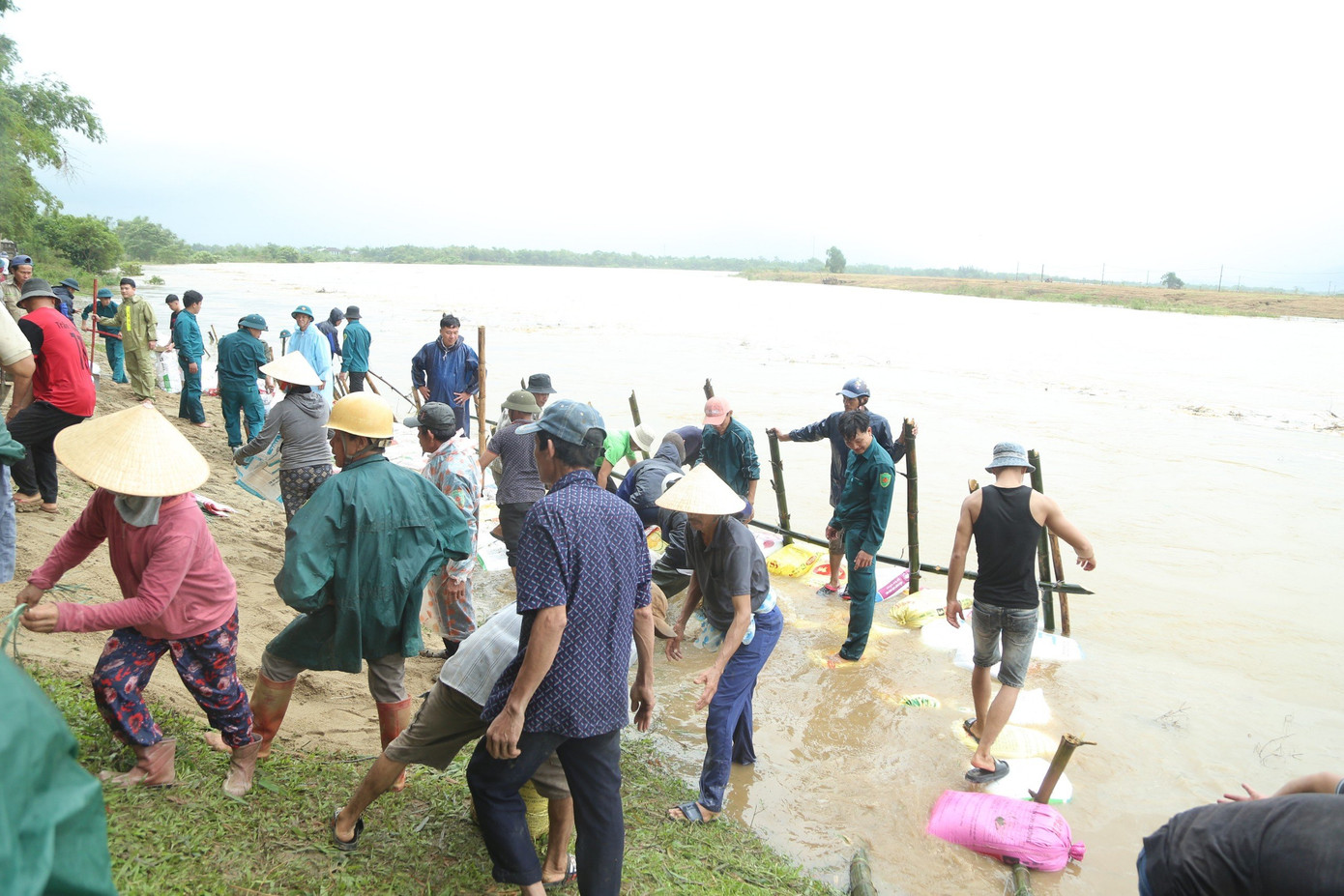 Sạt lở nghiêm trọng bờ sông Vu Gia do mưa lớn, dân chung tay cùng lực lượng chức năng gia cố. Chủ tịch UBND xã Đại Cường (huyện Đại Lộc, Quảng Nam) Phan Phước Mơ, cho biết, mưa lớn kéo dài hai ngày qua khiến nước thượng nguồn đổ về, nhiều điểm trên bờ sông Vu Gia qua địa bàn bị sạt lở nghiêm trọng, đe dọa đến hơn 200 hộ dân. Sạt lở nghiêm trọng bờ sông Vu Gia do mưa lớn, dân chung tay cùng lực lượng chức năng gia cố. Chủ tịch UBND xã Đại Cường (huyện Đại Lộc, Quảng Nam) Phan Phước Mơ, cho biết, mưa lớn kéo dài hai ngày qua khiến nước thượng nguồn đổ về, nhiều điểm trên bờ sông Vu Gia qua địa bàn bị sạt lở nghiêm trọng, đe dọa đến hơn 200 hộ dân.