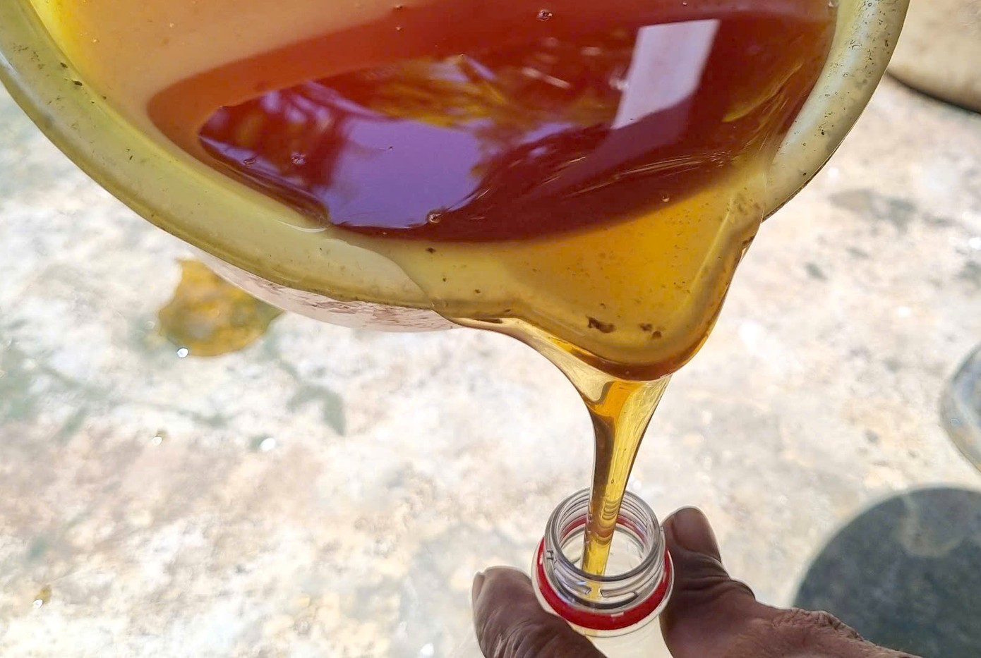 Tuy vất vả, nhưng bù lại nuôi ong nếu thuận lợi cho thu nhập khá. Đàn ong 200 tổ của ông nếu được mùa sẽ cho thu nhập khoảng 200 triệu đồng/năm. Nghề nuôi cũng giúp ông mưu sinh, nuôi 3 người con khôn lớn.