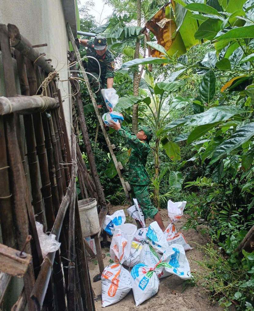 Triển khai các biện pháp ứng phó bão.