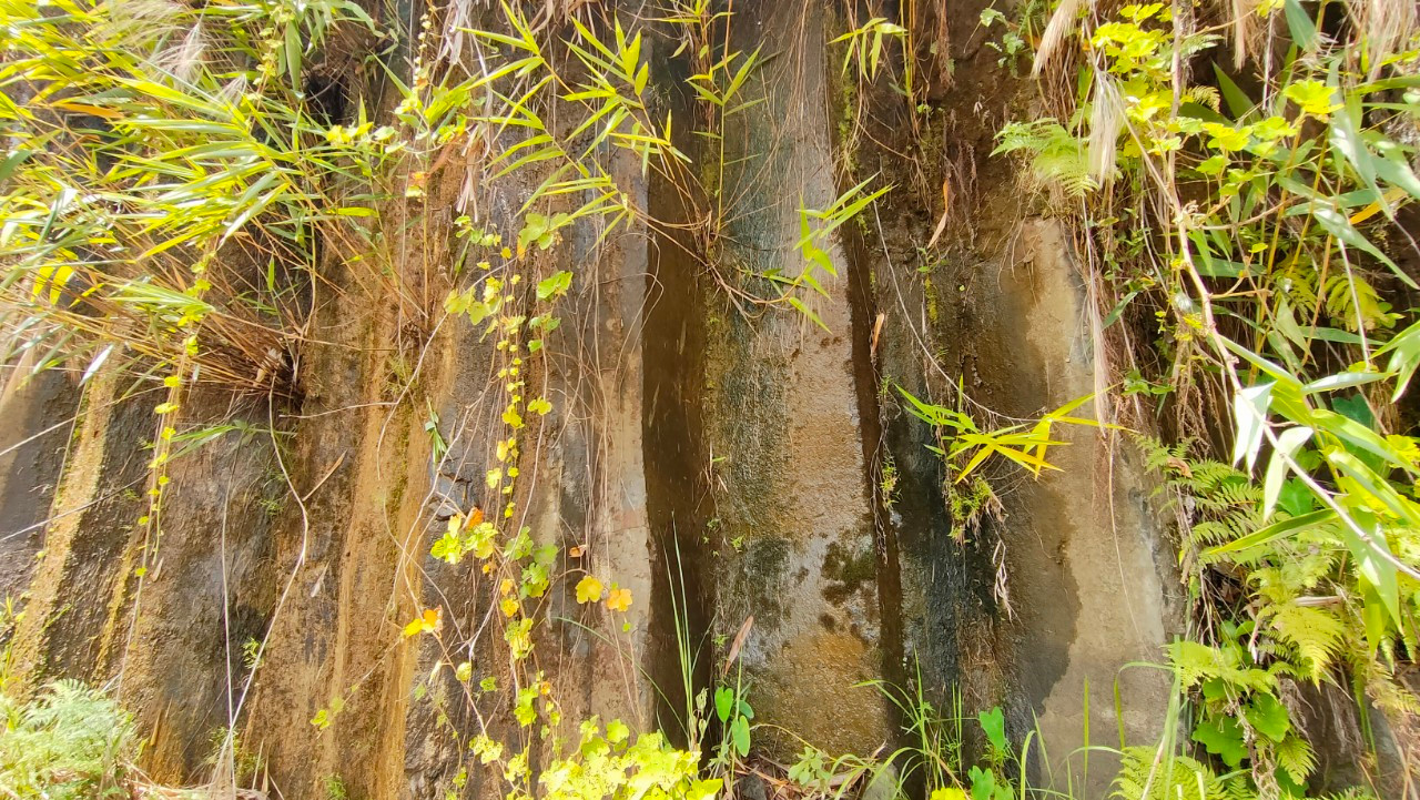 Theo người dân địa phương, trước đây núi đá ẩn trong đất, chỉ lộ một ít nhưng bị cây cối che khuất. Năm 2018, công ty thủy điện Nước Chè mở đường từ tubin đến kênh dẫn nước xã Phước Mỹ làm phát lộ vách núi hùng vĩ này.