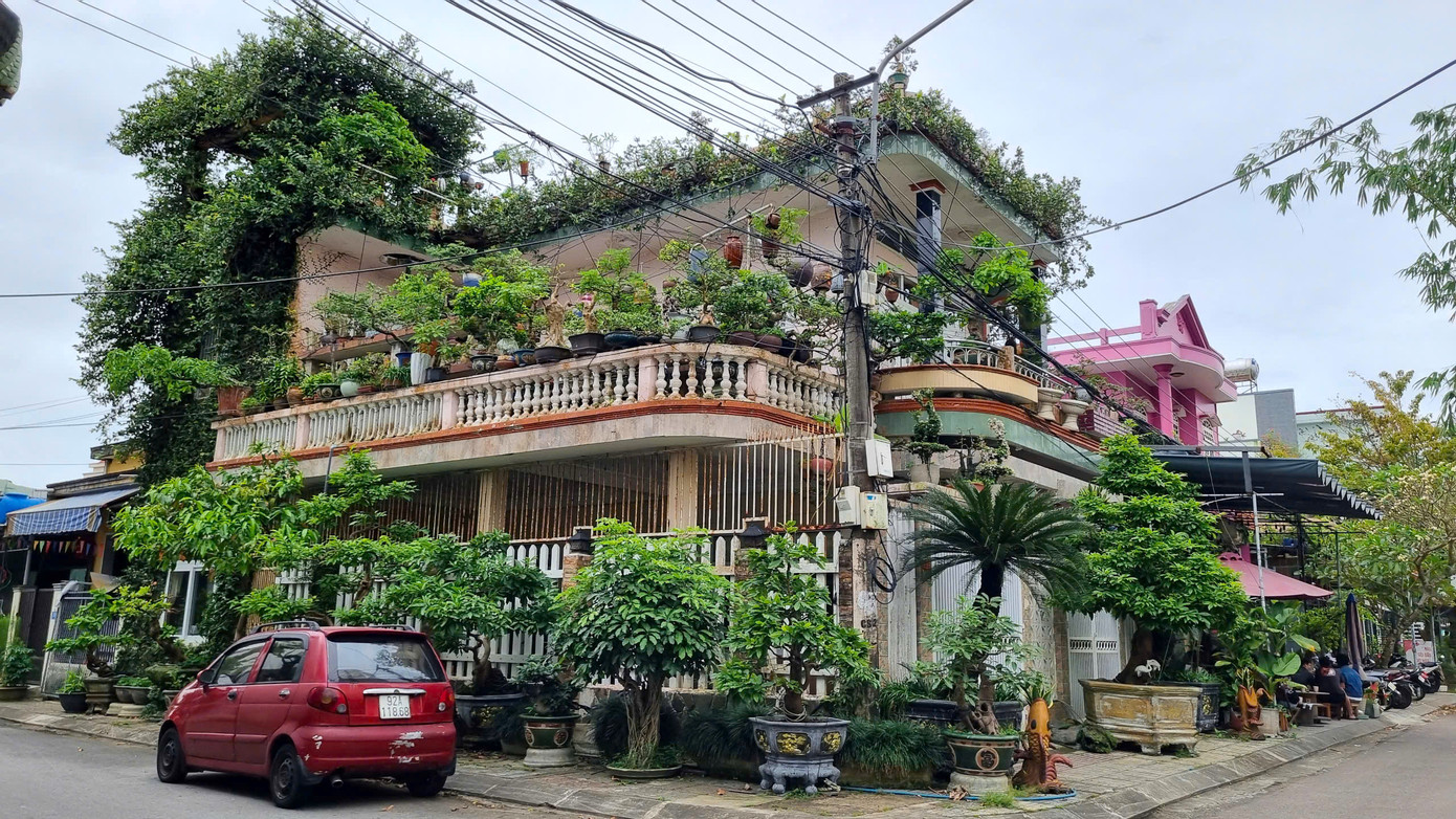 Ngôi nhà nằm giữa thành phố Tam Kỳ của ông Lê Thạnh nổi bật bởi cây xanh.