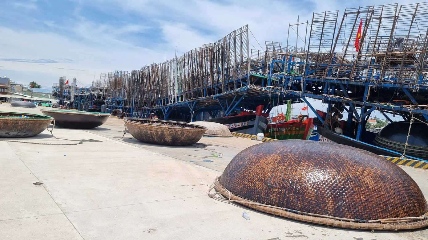 Ngư dân hành nghề câu mực “ngủ ngày, cày đêm. Ngoài khơi, đêm đến mỗi người trên một chiếc thúng chai và câu xuyên đêm. Ngư dân hành nghề câu mực “ngủ ngày, cày đêm. Ngoài khơi, đêm đến mỗi người trên một chiếc thúng chai và câu xuyên đêm.