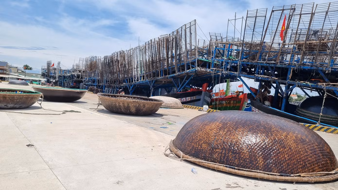 Ngư dân hành nghề câu mực “ngủ ngày, cày đêm. Ngoài khơi, đêm đến mỗi người trên một chiếc thúng chai và câu xuyên đêm. Ngư dân hành nghề câu mực “ngủ ngày, cày đêm. Ngoài khơi, đêm đến mỗi người trên một chiếc thúng chai và câu xuyên đêm.
