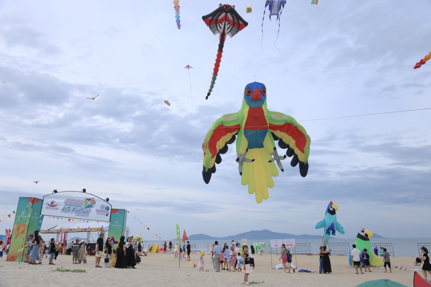 Lễ hội có sự tham gia của các đội diều đến từ 13 quốc gia và vùng lãnh thổ: Việt Nam, Ấn Độ, Hàn Quốc, Indonesia, Malaysia, Nhật Bản, Philippines, Singapore, Thái Lan, Trung Quốc, Úc, Đài Loan (Trung Quốc) và Hồng Kông (Trung Quốc). Lễ hội có sự tham gia của các đội diều đến từ 13 quốc gia và vùng lãnh thổ: Việt Nam, Ấn Độ, Hàn Quốc, Indonesia, Malaysia, Nhật Bản, Philippines, Singapore, Thái Lan, Trung Quốc, Úc, Đài Loan (Trung Quốc) và Hồng Kông (Trung Quốc).