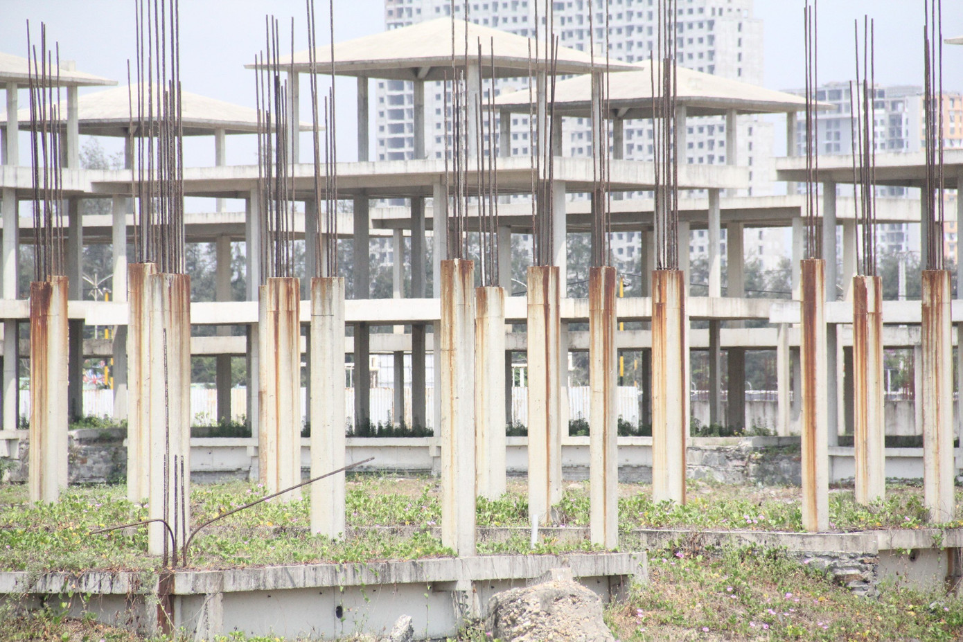 Cảnh hoang tàn bên trong dự án. Cảnh hoang tàn bên trong dự án.