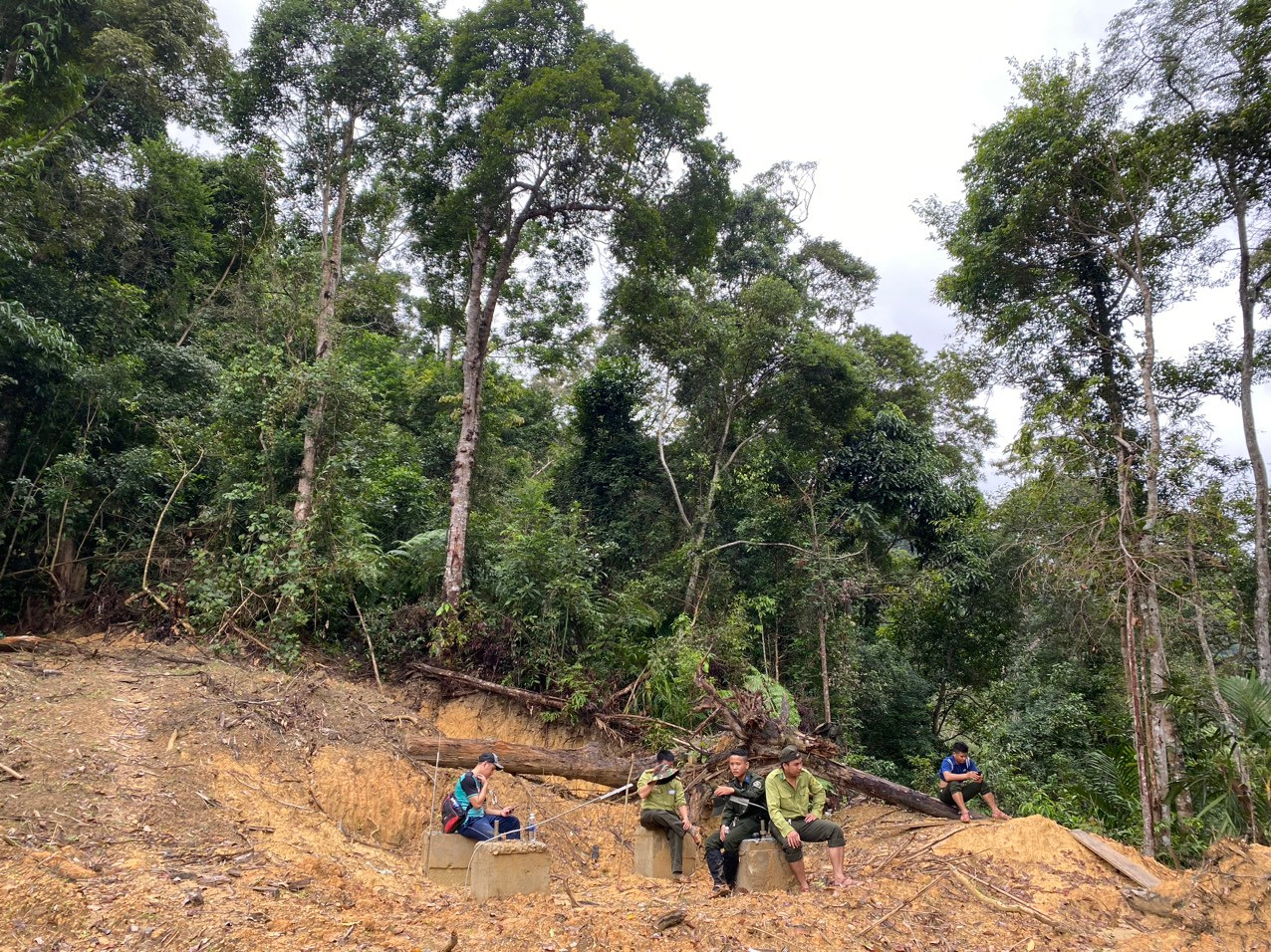 Lãnh đạo tỉnh Quảng Nam yêu cầu điều tra, xử lý trách nhiệm tổ chức, cá nhân liên quan vụ phá rừng làm đường dây tải thủy điện Tr'Hy.