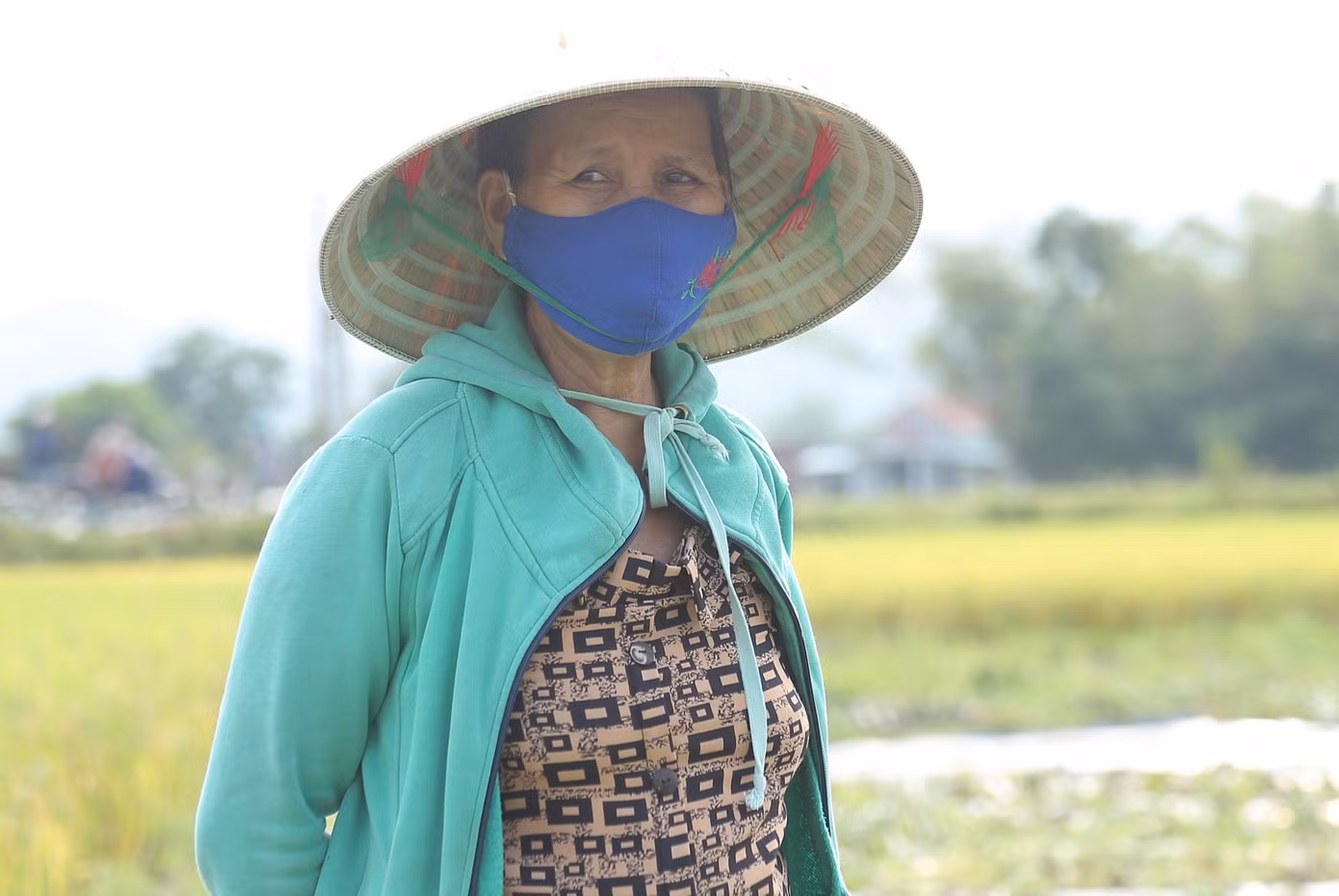 Nông dân buồn rầu vì mất trắng vụ dưa.