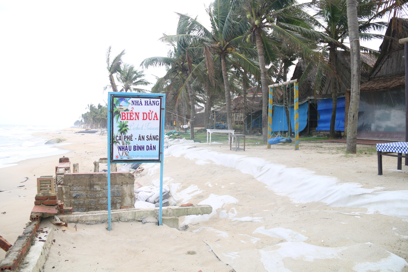 Theo ghi nhận, hàng trăm mét bờ biển kéo dài từ địa phận phường Cửa Đại đến điểm đầu phường Cẩm An bị sóng “ngoạm” mảng lớn.