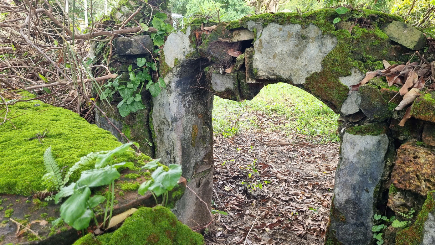 Khu mộ cổ nhuốm màu rêu xanh.