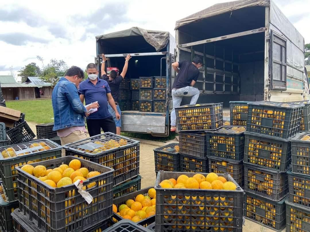 Cam sạch theo xe xuống phố.