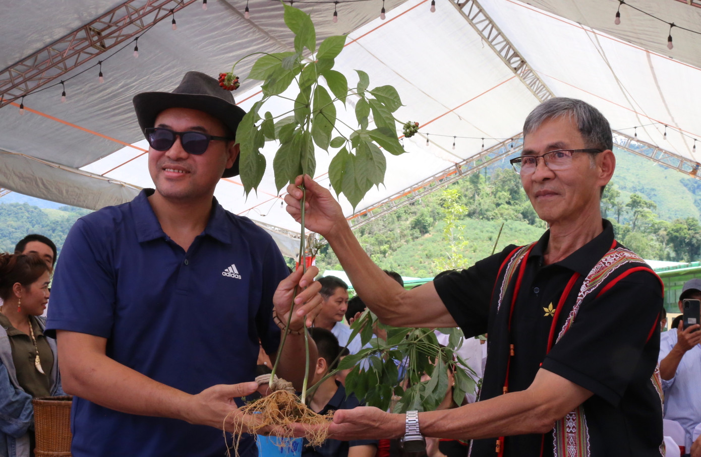 Phiên đấu giá sâm Ngọc Linh ủng hộ quỹ xóa nhà tạm cho hộ nghèo. Ảnh: Hoài Văn.