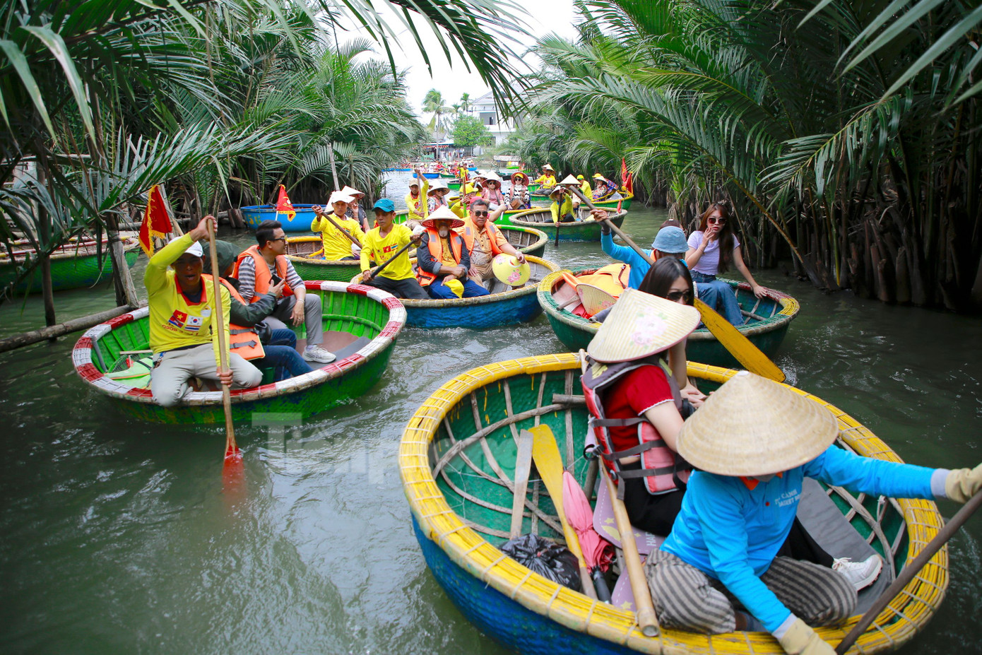 Các tuyến đường sông quanh khu vực rừng dừa luôn đông kín khách. Ông Đoàn Phước Tài, chủ cơ sở Mr Tai’s Coconut Tour cho hay đầu năm là thời điểm bùng nổ đón khách tham quan, nhất là khách quốc tế. 100 thúng chai phục vụ du khách của cơ sở sử dụng hết công suất, phục vụ khoảng 700 du khách mỗi ngày. Các tuyến đường sông quanh khu vực rừng dừa luôn đông kín khách. Ông Đoàn Phước Tài, chủ cơ sở Mr Tai’s Coconut Tour cho hay đầu năm là thời điểm bùng nổ đón khách tham quan, nhất là khách quốc tế. 100 thúng chai phục vụ du khách của cơ sở sử dụng hết công suất, phục vụ khoảng 700 du khách mỗi ngày.