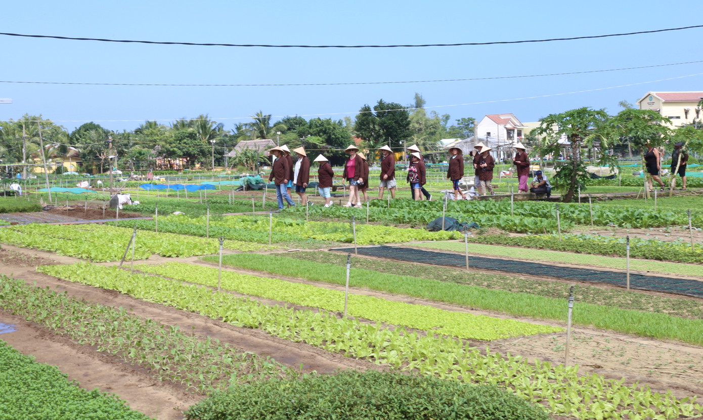 Ngôi làng mang tính đặc thù của một đảo sông gần biển. Làng được bao bọc bởi sông Cổ Cò và đầm Trà Quế mang đến khí hậu ôn hòa, thổ nhưỡng tươi tốt, tạo điều kiện thuận lợi để người dân sáng tạo và phát triển nghề trồng rau theo phương thức hữu cơ lâu đời.