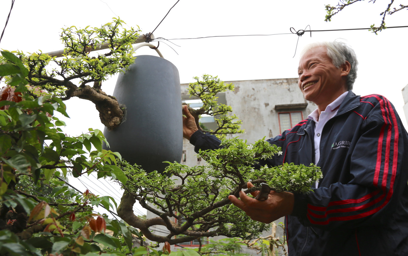Ông Thạnh và chậu bonsai 2 ngang 1 ngược.