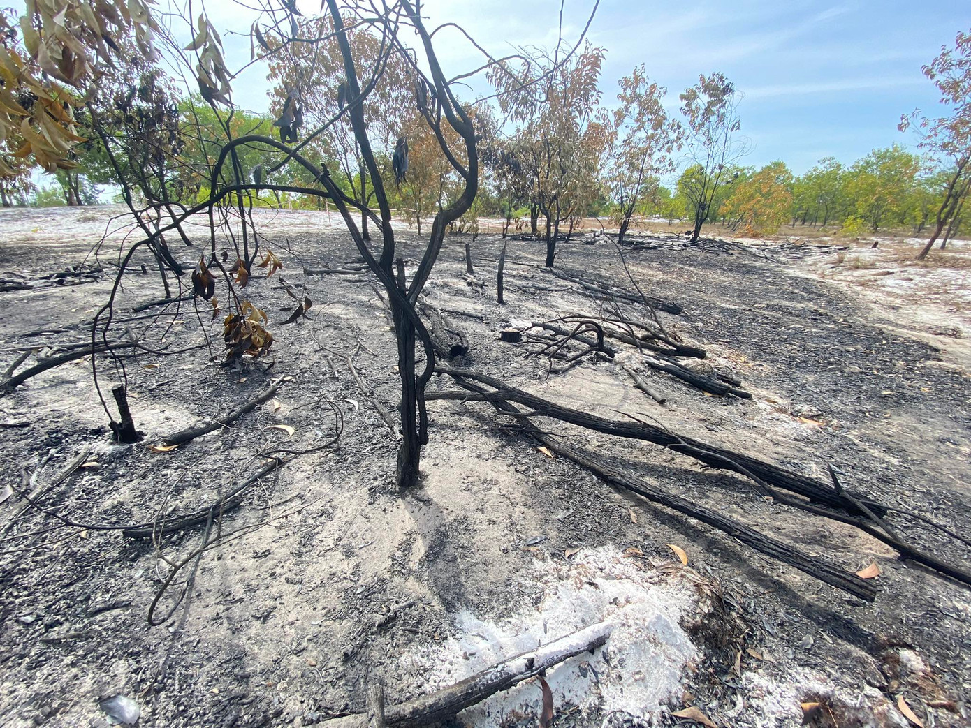 Diện tích rừng được khoanh vùng để tổ chức diễn tập là 500 m2, thuộc khu vực rừng trồng thôn Bình Túc, xã Bình Sa. Diện tích rừng được khoanh vùng để tổ chức diễn tập là 500 m2, thuộc khu vực rừng trồng thôn Bình Túc, xã Bình Sa.