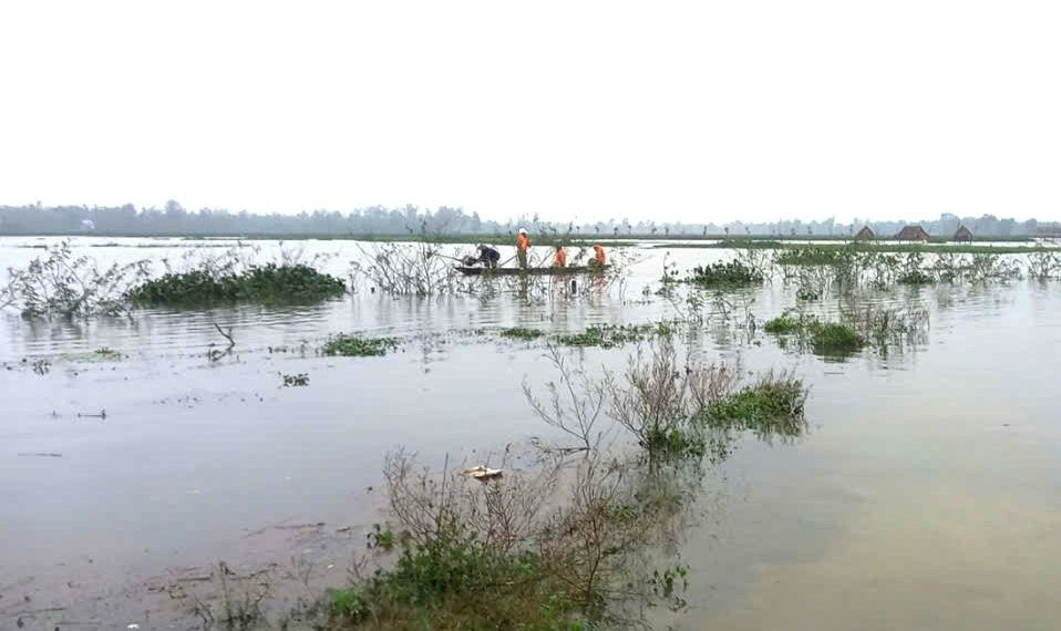 Lực lượng chức năng tìm kiếm nạn nhân.