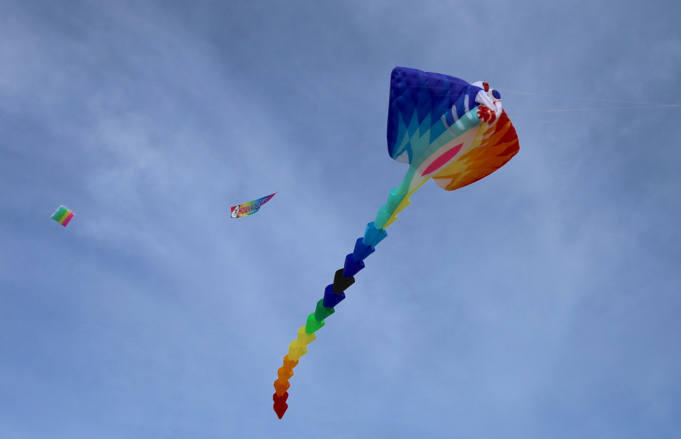 Các đội mang đến những màn trình diễn thả diều nghệ thuật mãn nhãn với khoảng 100 loại diều khác nhau, cùng với không gian trưng bày diều đa sắc màu. Các đội mang đến những màn trình diễn thả diều nghệ thuật mãn nhãn với khoảng 100 loại diều khác nhau, cùng với không gian trưng bày diều đa sắc màu.