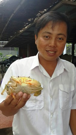 Ngư dân Sóc Trăng bắt được cua 'siêu dị' có 3 càng ảnh 1