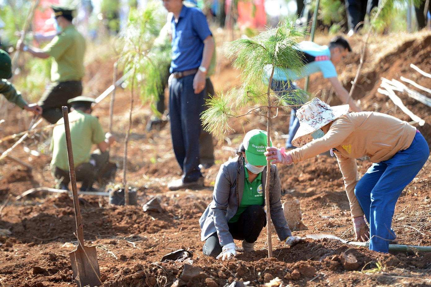 Ảnh: Dương Triều