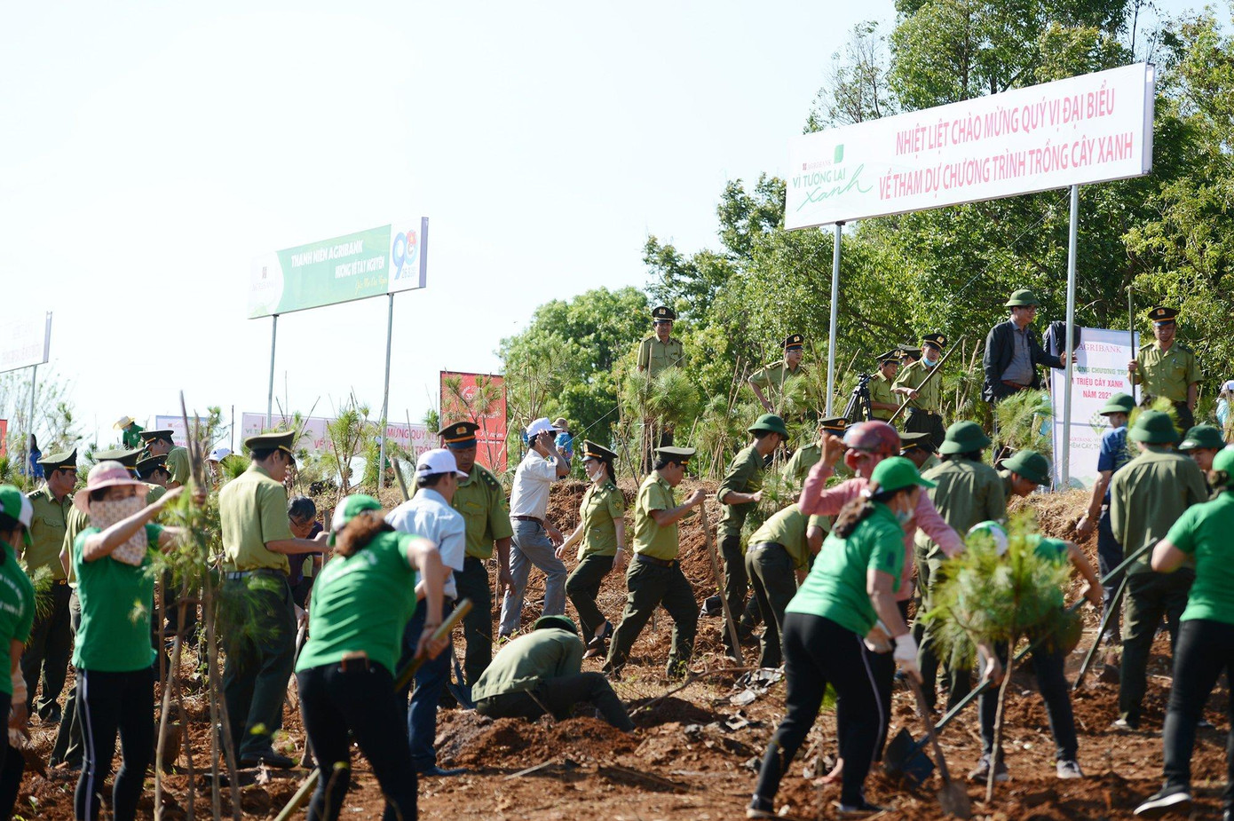 Ảnh: Dương Triều