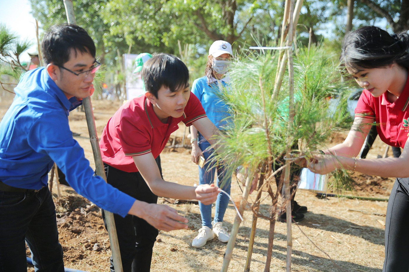 Ảnh: Dương Triều