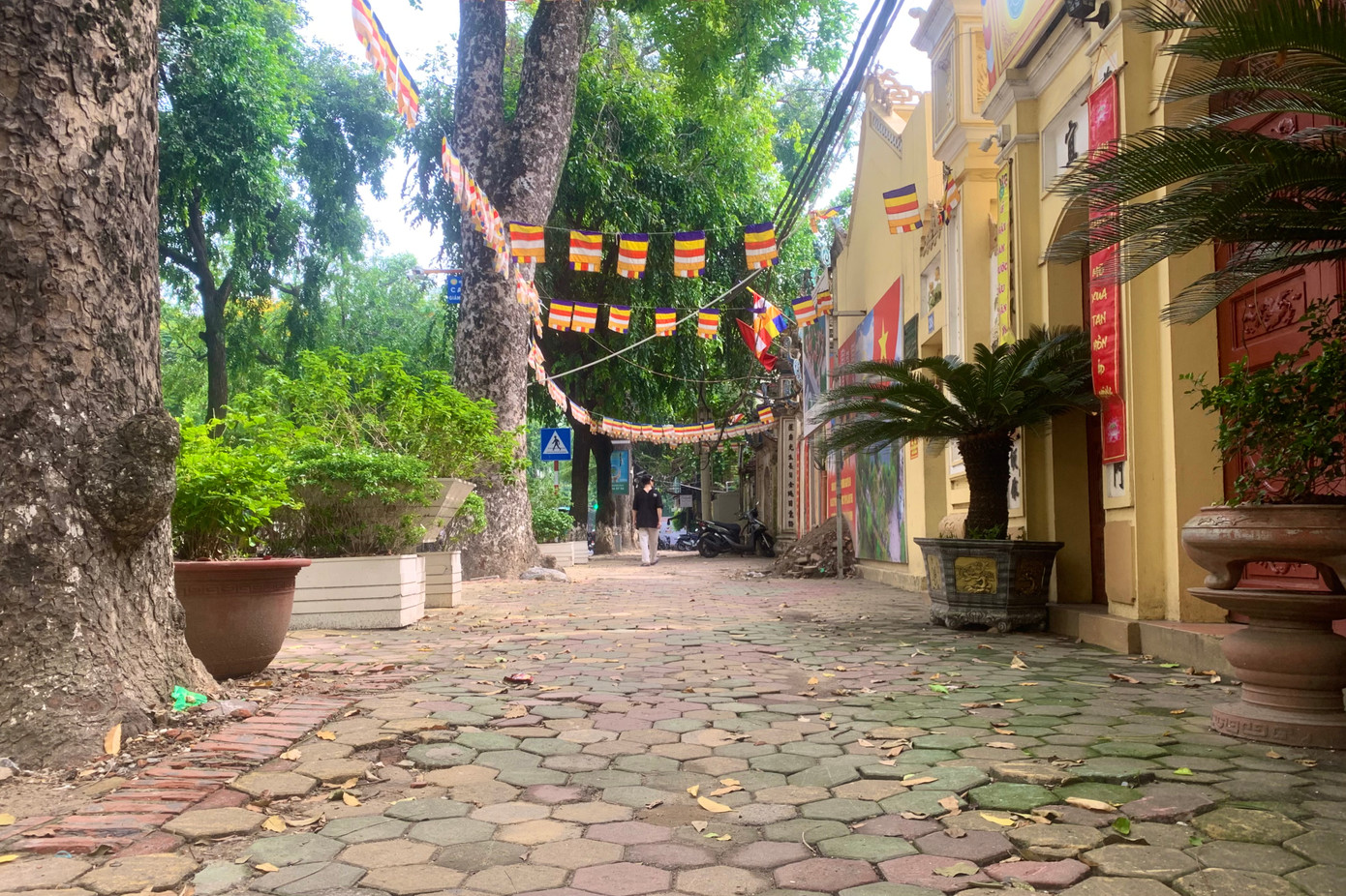 Dự án thuộc lĩnh vực văn hóa, nhóm B nhằm góp phần trả lại khuôn viên di tích đã được xếp hạng, bảo tồn, chống xuống cấp các hạng mục di tích, phát huy giá trị kiến trúc - nghệ thuật và thắng cảnh của di tích, đồng thời kết hợp phát triển du lịch văn hóa, tâm linh trên địa bàn quận. Dự kiến tổng mức đầu tư của dự án là hơn 295 tỷ đồng.