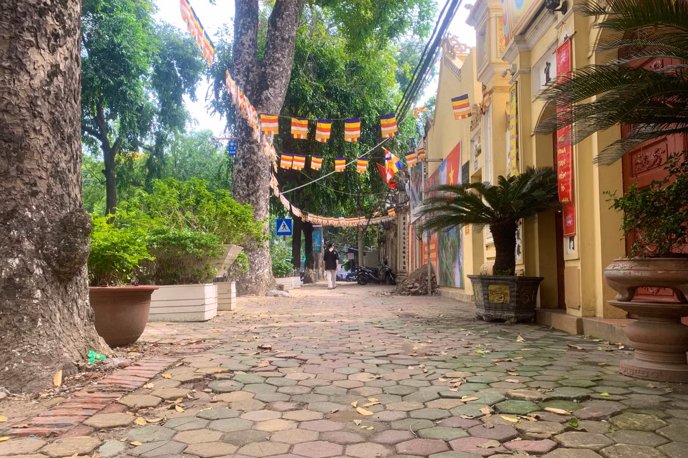 Dự án thuộc lĩnh vực văn hóa, nhóm B nhằm góp phần trả lại khuôn viên di tích đã được xếp hạng, bảo tồn, chống xuống cấp các hạng mục di tích, phát huy giá trị kiến trúc - nghệ thuật và thắng cảnh của di tích, đồng thời kết hợp phát triển du lịch văn hóa, tâm linh trên địa bàn quận. Dự kiến tổng mức đầu tư của dự án là hơn 295 tỷ đồng.