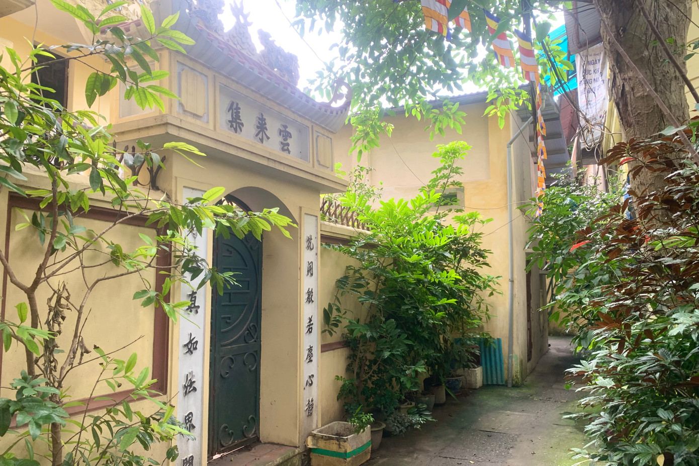 Theo phương án quy hoạch, tổng mặt bằng có diện tích khoảng 4.520,0m2 bao gồm: Diện tích hiện trạng khuôn viên 3 chùa Quang Hoa, chùa Thiền Quang, chùa Pháp Hoa: Khoảng 2.295,23m2. Diện tích đất người dân đang sử dụng cần thu hồi giải phóng mặt bằng: Khoảng 2.224,77m2 (số liệu chính xác được chuẩn xác trong giai đoạn giải phóng mặt bằng của dự án).